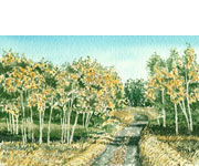 Backroad Early Fall
