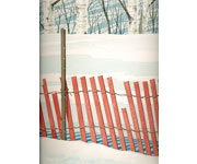 Bob Pitzel - Deep Snow and Treeline Study