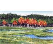 Bob Pitzel - Flooded Poplars 1
