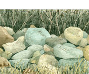 Rocks Along A Fenceline