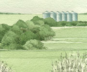 The view to the NW