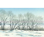 Bob Pitzel - Winter Treeline