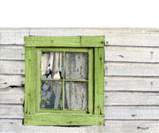 Bob Pitzel - Green Window Revisited Study